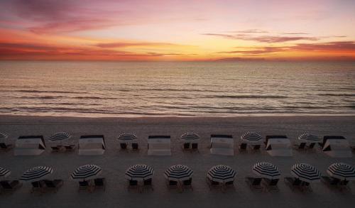 a group of chairs and umbrellas on the beach at Sirata Saint Pete Beach in St Pete Beach