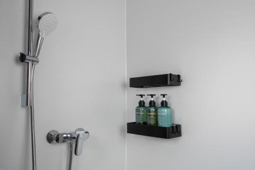a bathroom with a shower with a shelf with alcohol bottles at Cozy Holiday Home in Worms