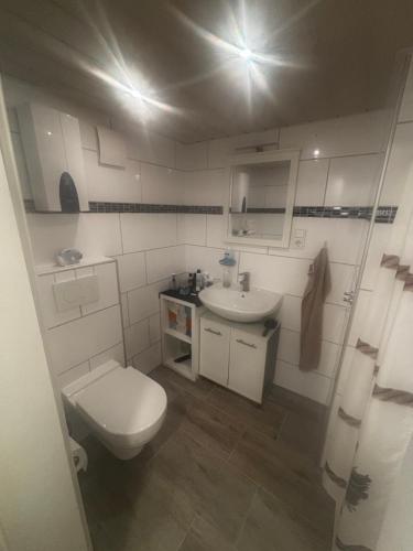 Un baño pequeño con inodoro y lavabo. en Ferienwohnung Wilma, en Wadgassen