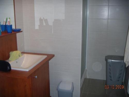 une salle de bain avec une douche, un lavabo et des toilettes dans l'établissement Bel appartement Narbonne plage, à Narbonne-Plage