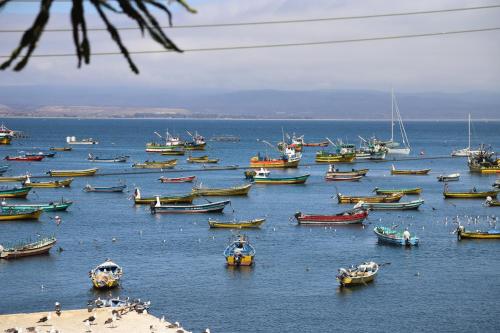 a group of boats in the water on a beach at Preciosa casa frente al mar in Tongoy