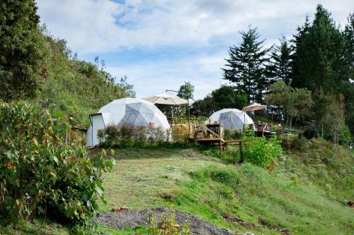 two white domes in a garden with trees and grass at Amore Mio Glamping in Jenesano