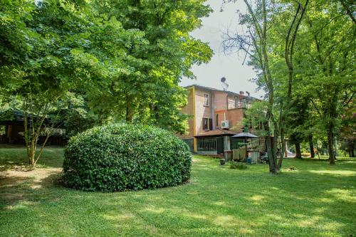 a large bush in the yard of a house at La Tagliolina in Monteveglio