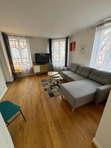 un salon avec un canapé et une télévision dans l'établissement Appartement de Standing Hypercentre, à Colmar