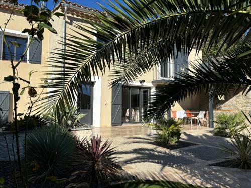 une maison avec un palmier devant dans l'établissement La Vade, à Carcassonne