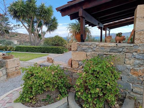 a stone wall with two bushes in front of a house at Villa Amalia in Palekastron