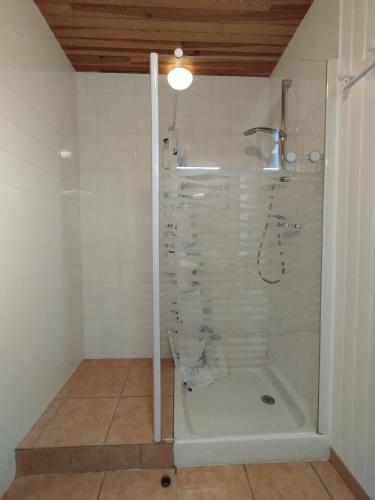 a shower with a glass door in a bathroom at L'Auzacoise, chalet tout confort pour un séjour inoubliable in Lachapelle-Auzac