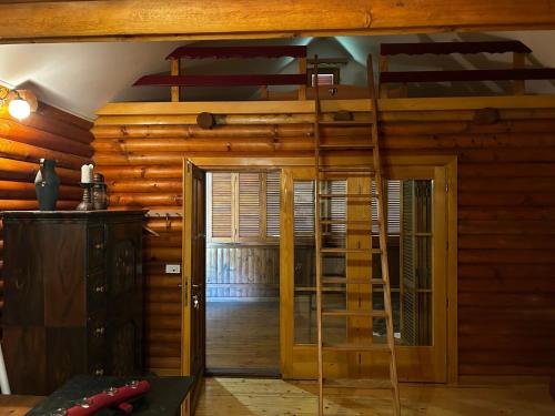 a room with a bunk bed and a ladder at Jazvenik Hill House in Sisak