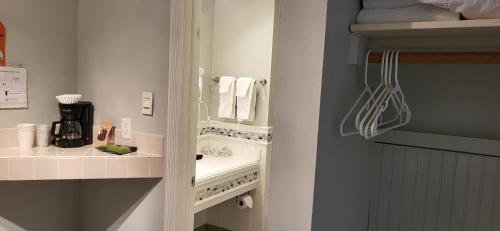 a bathroom with a sink and a mirror at Chequamegon Lake Superior Lodge in Bayfield