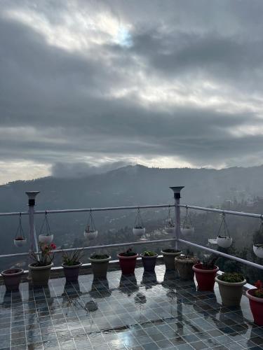 a group of potted plants sitting on a balcony at EcoEscape Mukteshwar in Mukteswar