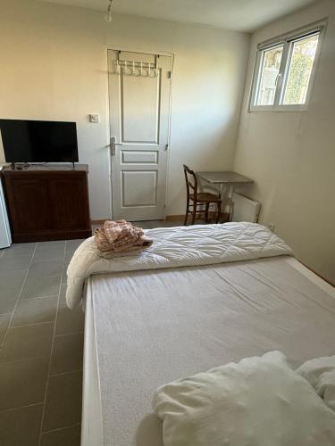 a room with two beds and a table and a television at Chez Nenette in Nogent-sur-Seine