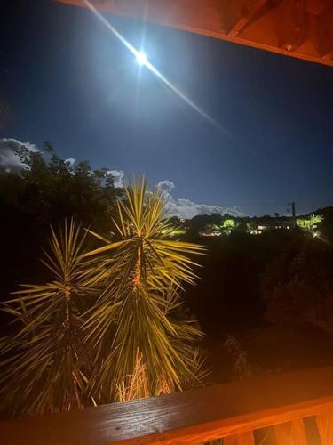 a view of two palm trees at night at Tropical Treehouse In Paradise St Thomas in East End