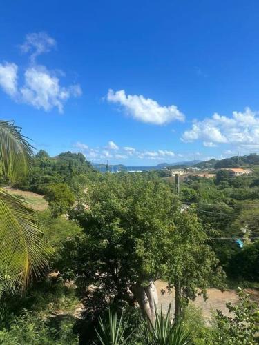 a tree in the middle of a forest of trees at Tropical Treehouse In Paradise St Thomas in East End