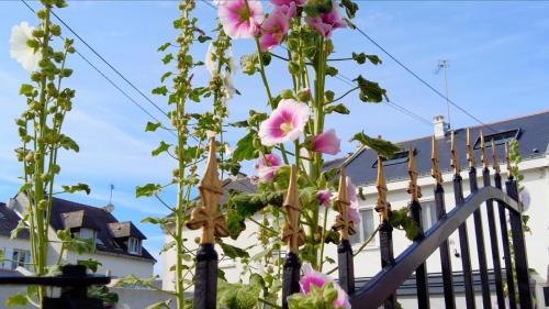 a bunch of flowers growing on a fence at La Villa Reina in Le Croisic