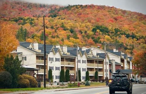 a golf cart driving down a street in front of houses at Lincoln Condo with slope view in Lincoln