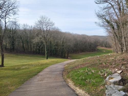 a winding road in the middle of a field at L'Auzacoise, chalet tout confort pour un séjour inoubliable in Lachapelle-Auzac