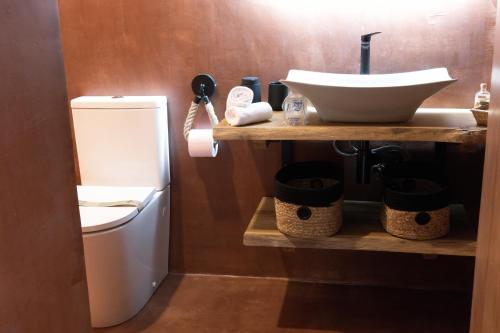 a bathroom with a sink and a toilet at Lo Raconet d'Arnes in Arnés
