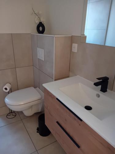 a bathroom with a toilet and a sink at Au havre de paix in Paray-le-Monial