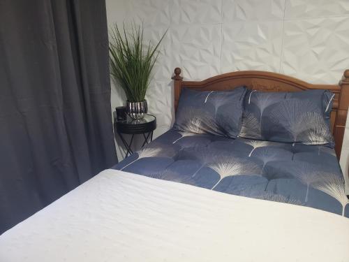 a bed with a blue and white comforter and a plant at Private room with parking and bathroom in Aguada
