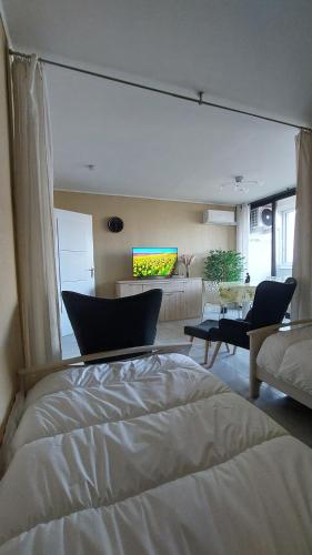 une chambre avec un grand lit et un salon dans l'établissement Le studio Belle Viste, à Gréoux-les-Bains