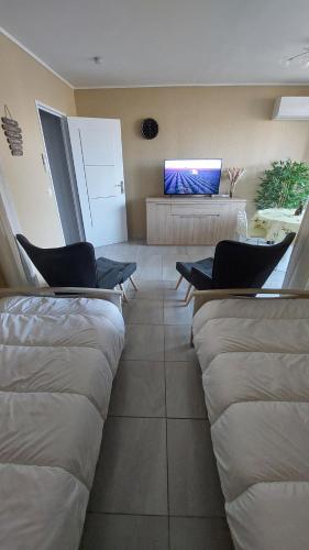 un salon avec des canapés et une télévision à écran plat dans l'établissement Le studio Belle Viste, à Gréoux-les-Bains