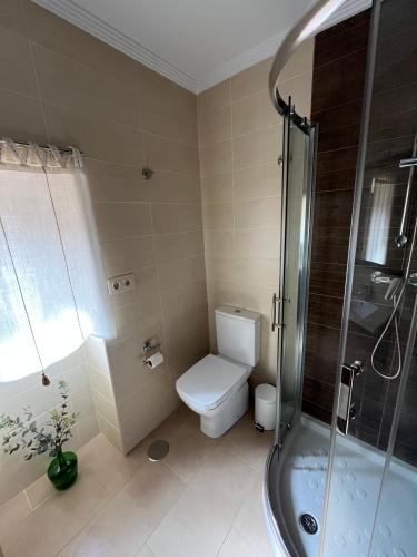 a bathroom with a toilet and a shower at O Refuxio de Tebra in Tebra