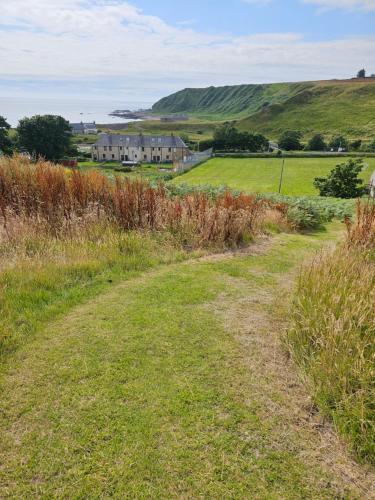 a dirt road through a field with houses in the background at Faodail 'a lucky find' in Dunbeath