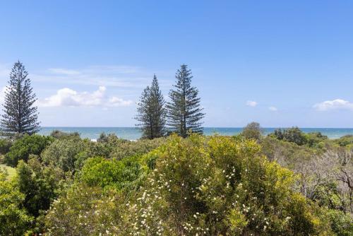 a view of the ocean from a hill with trees at Parkside on Plover Street in Peregian Beach