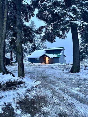 a barn with snow on it in a field with trees at Paradise Suites The Wolf Den in Homer