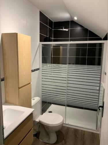 a bathroom with a toilet and a glass shower at Logement au calme, à proximité de tous in Damparis