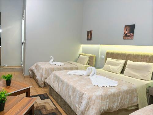 Holy Sheet Hostel 객실 침대