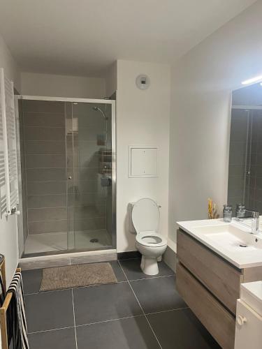 une salle de bain avec une douche, des toilettes et un lavabo dans l'établissement Cozy Flat in Saint Ouen, à Saint-Ouen