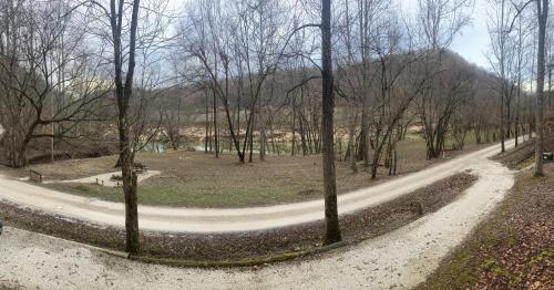a winding road in a park with trees and a mountain at Sleepy Bear Cabin, Red River Gorge, KY, River Access & Views in Stanton