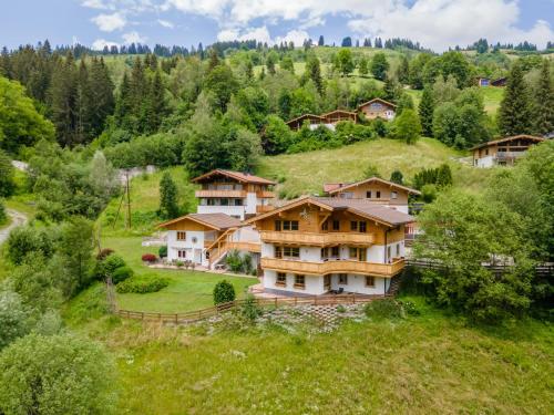Alpensteinbock Saalbach A