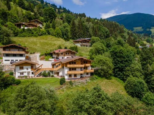 Alpensteinbock Saalbach C