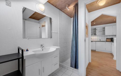 a bathroom with a sink and a mirror at Pet Friendly Home In Henne With Sauna in Henne Strand