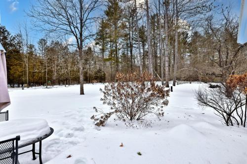 a snow covered yard with a bench and trees at Chittenden Farmhouse - Historic 4BR, 2BA, 20 Min to Skiing, 7 Min to Mountaintop Resort in Chittenden