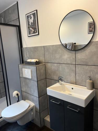 a bathroom with a toilet and a sink and a mirror at Pension Trautheim - Am Stadtpark in Bad Harzburg