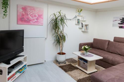 Una sala de estar con un sofá y un televisor. en Daniel-Ferienhaus 2, en Eckernförde