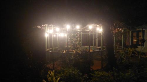 a bunch of lights on a pole at night at Green House in Adams Peak