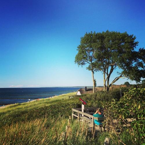 Möwe App 510 photo 21