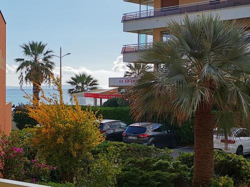 Studio 4 personnes en bord de mer au Lavandou avec parking - FR-1-803-89