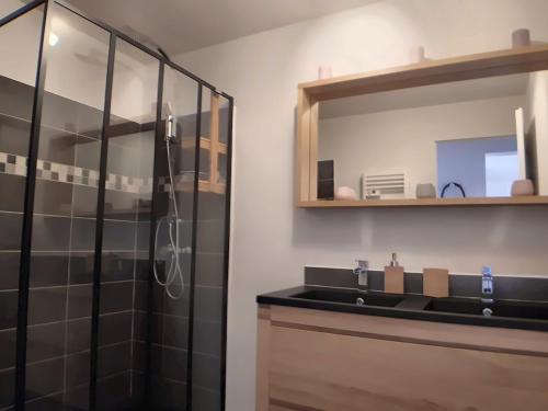 une salle de bain avec une douche, un lavabo et un miroir dans l'établissement Appartement 7 pers. avec terrasse aux Saintes-Maries - FR-1-475-172, à Saintes-Maries-de-la-Mer