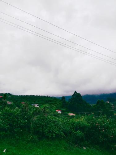 a view of a green hill with power lines at Private 3BHK Villa with a Parking, Garden, WiFi, Mountain View in Kodaikānāl