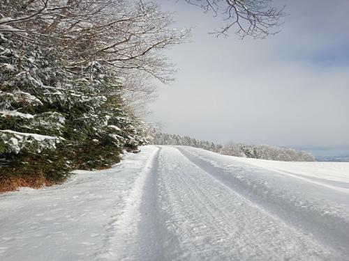 a snow covered road with trees on the side at Apartment in Stans near Wolfsklamm River in Stans