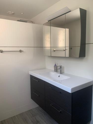 une salle de bain avec un lavabo et un miroir dans l'établissement Vacances de rêve vue mer et montagne, à Brando