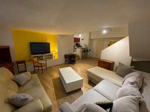 FLC - Grand Duplex -2 chambres- La Friche- Maxi 8p