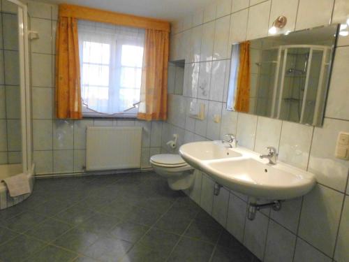 a bathroom with a sink and a toilet and a mirror at Ferienwohnungen Charlottenhof in Zechlinerhütte