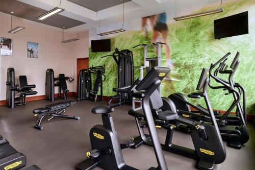 a gym with cardio equipment and a wall with a mural at The Westin Warsaw in Warsaw