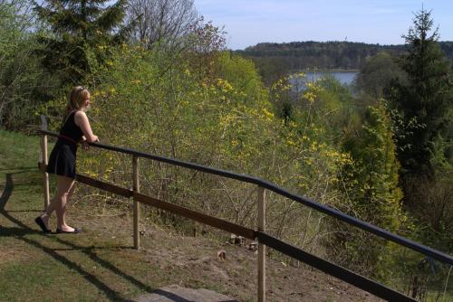 a woman standing on a railing looking at a lake at Ferienhaus Charlotte in Amtshof